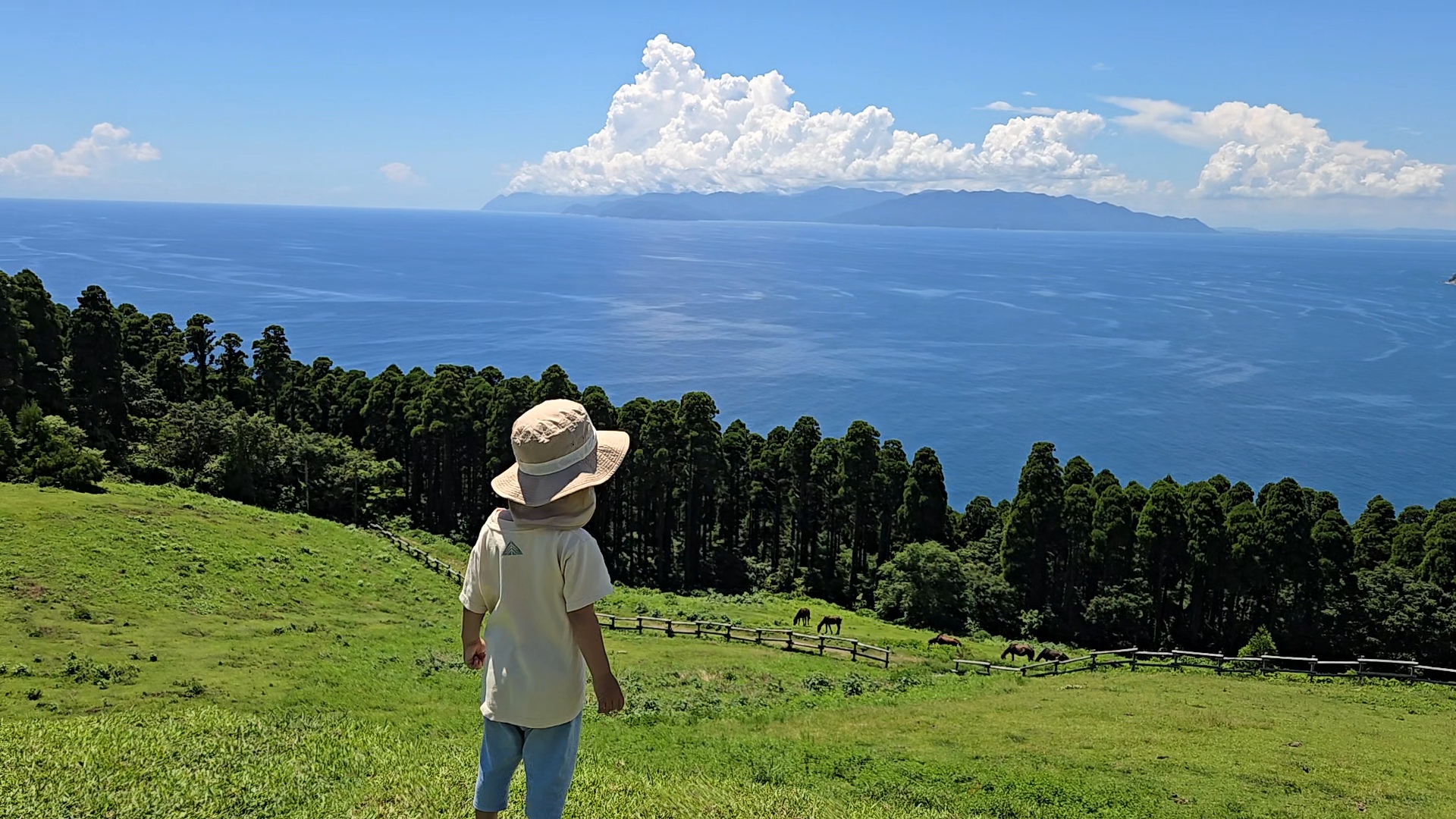【宮崎移住３ヶ月目のリアル】シングルマムが大阪を出た理由と、住んでわかったこと